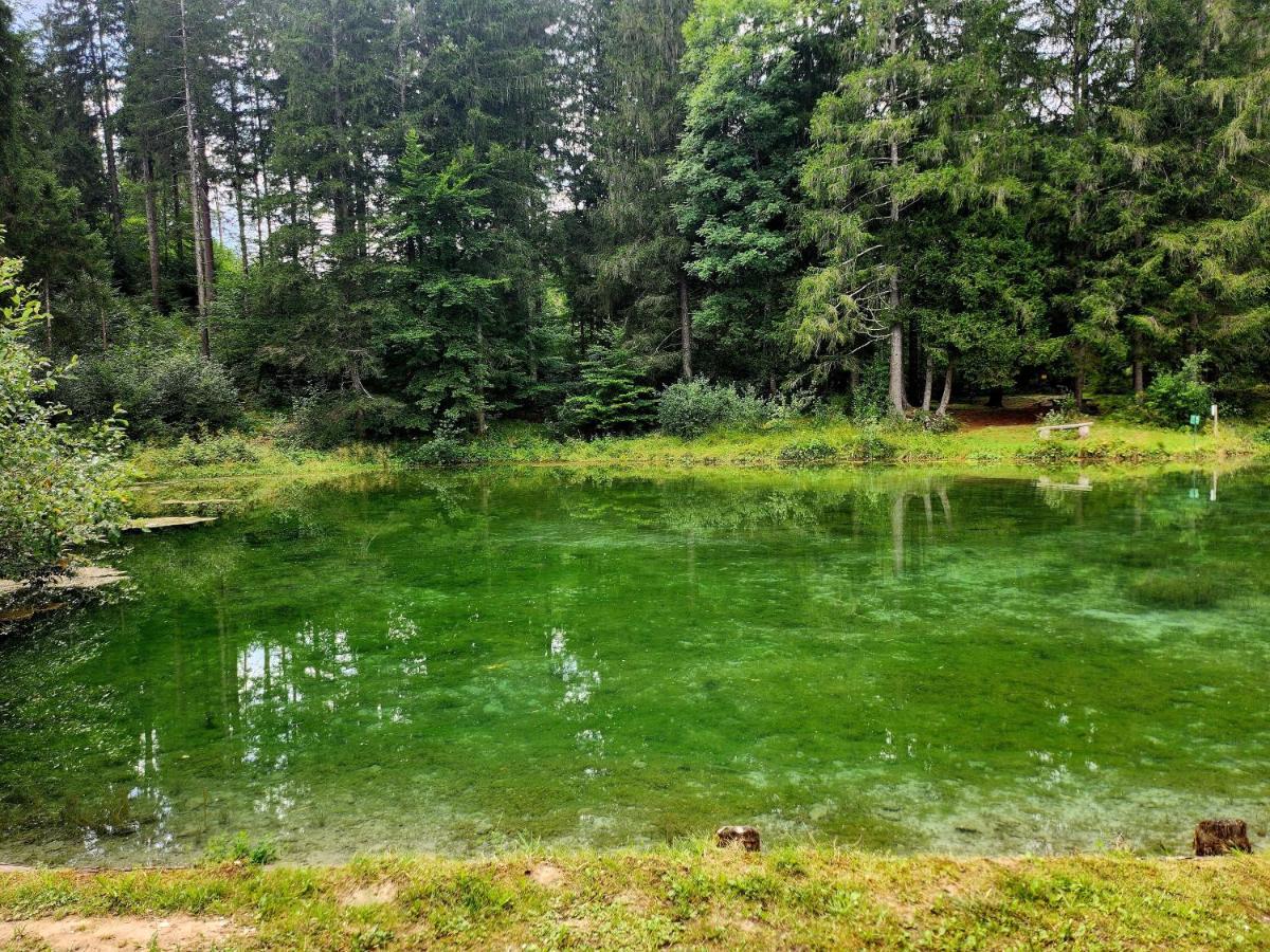 Отель Margiola Calalzo di Cadore Экстерьер фото